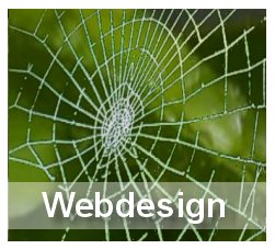 Webdesign by Digital Culture
